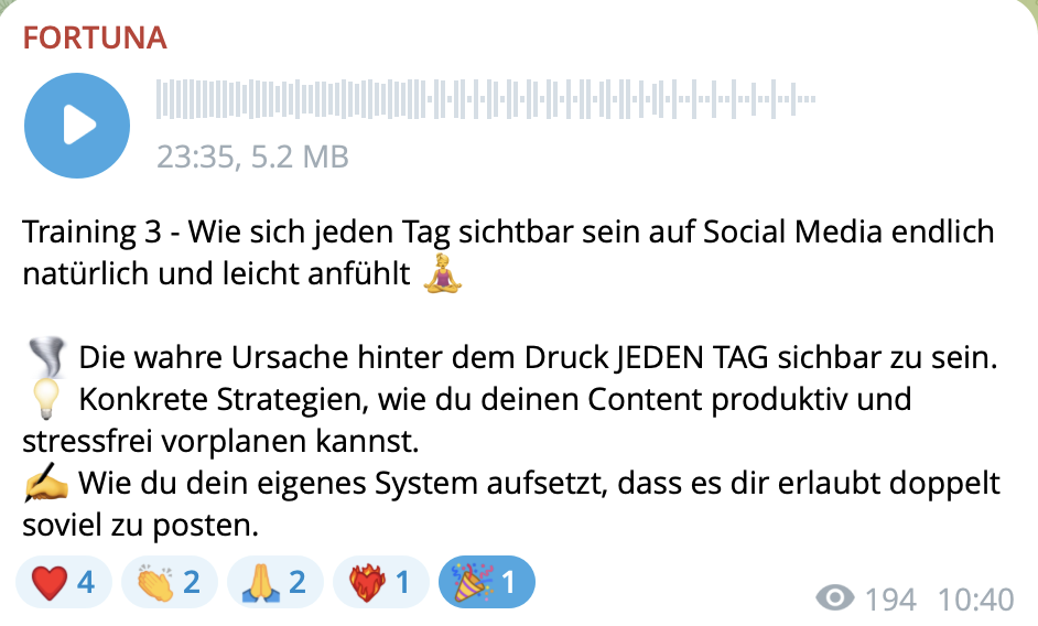 Einblick in die FORTUNA Audio Trainings