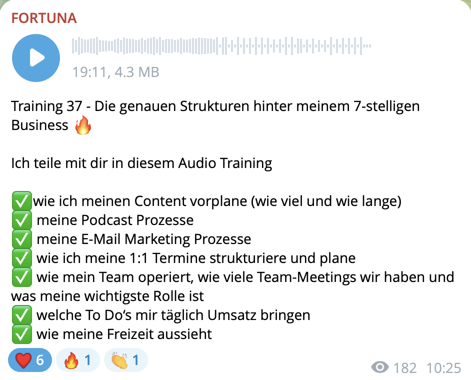 Einblick in die FORTUNA Audio Trainings